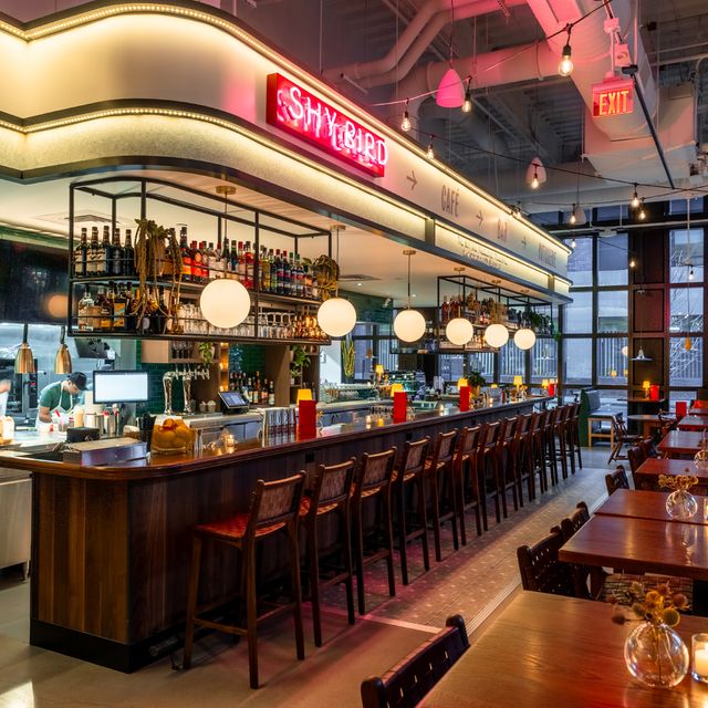 Shy Bird - Fenway Restaurant - Boston, MA | OpenTable