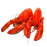 Lobster Frenzy foto