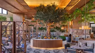 A photo of Cassava restaurant