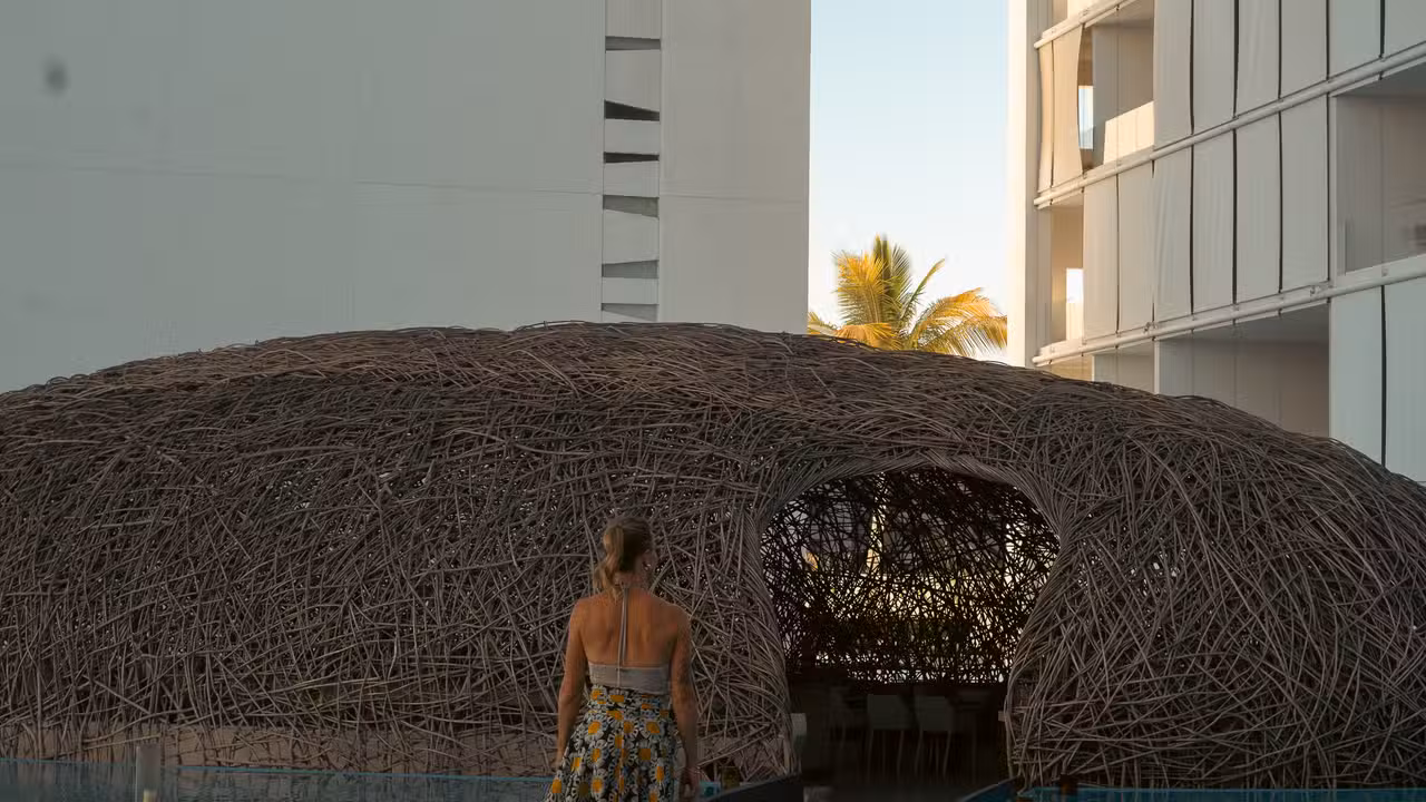 Nido - Nido, San José del Cabo, BCS