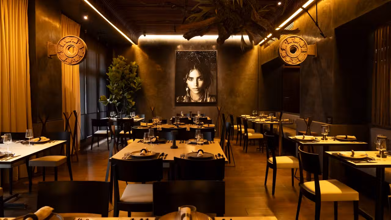 Interior - Pelota Mestiza, Ciudad de Mexico, CDMX