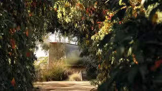 Seville Estate餐廳的相片