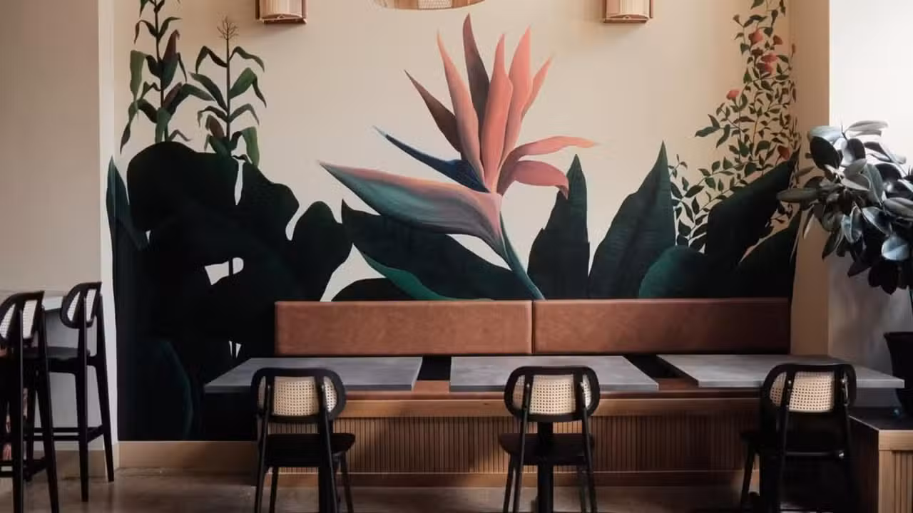 Interior - BibiSol, Sioux Falls, SD