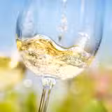 Cheers to 20% off! foto