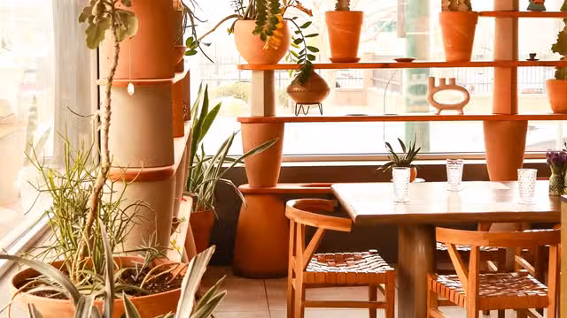 Ein Foto von Restaurant Mamacitas