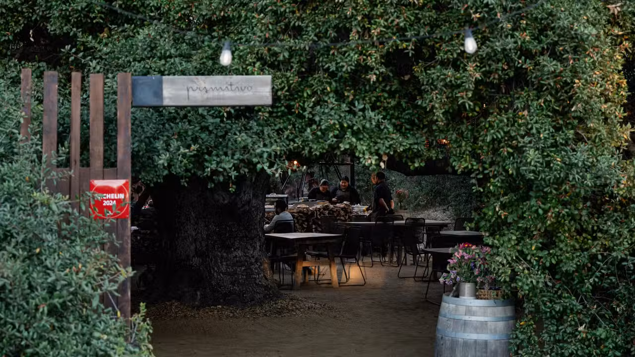 Primitivo, Ensenada, BCN