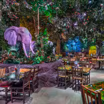 Rainforest Cafe - Katy Mills餐廳的相片