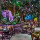 Cover image for Rainforest Cafe - Katy Mills