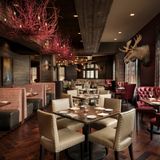Cover image for Red Stag Grill at Grand Bohemian Lodge Asheville