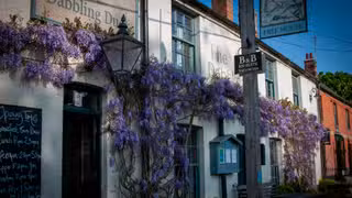 Una foto del restaurante The Dabbling Duck