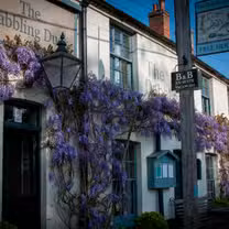 A photo of The Dabbling Duck restaurant