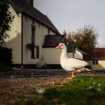 A photo of The Gamekeeper restaurant