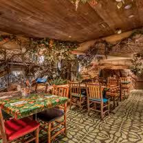 Rainforest Cafe - San Antonioの写真