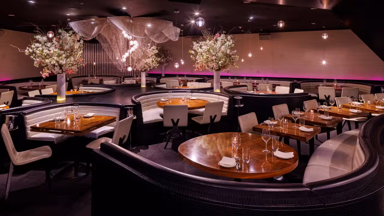 Main Dining  - STK Steakhouse London - Strand, London, 