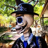 Cover image for Casa Catrina