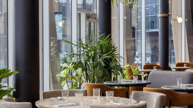 Book Private Dining at Earls Kitchen + Bar - 300 Main Street | OpenTable
