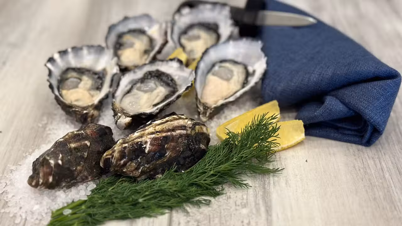 Eten - BLU OYSTER CO., St Kilda, AU-VIC