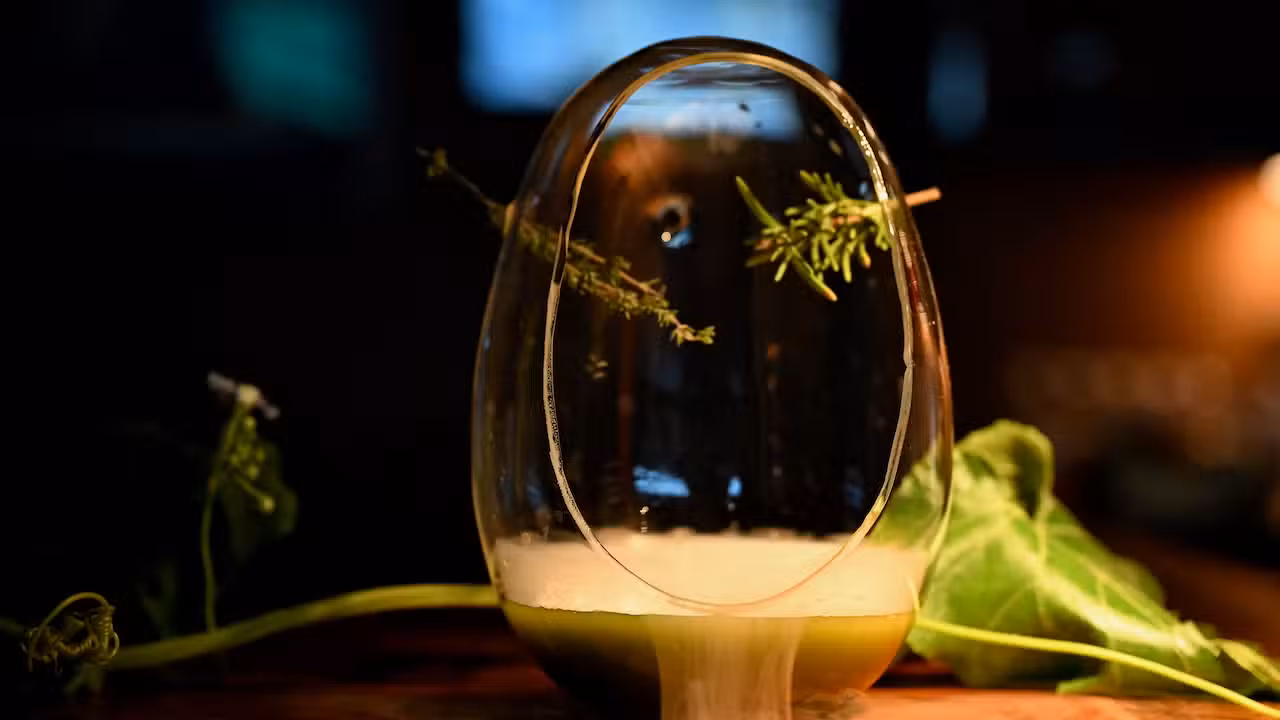 Bebidas - eculent, Kemah, TX