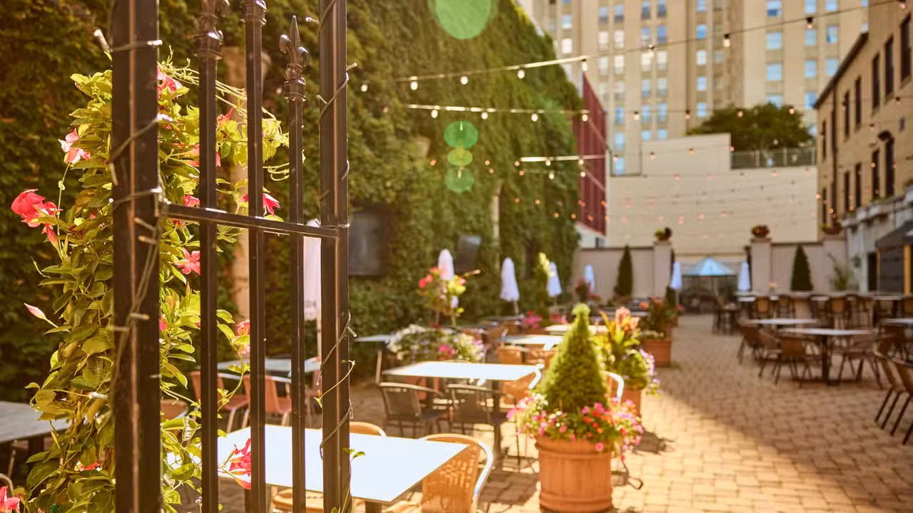 Buitenkant - Edera Italian Eatery, Saint Louis, MO