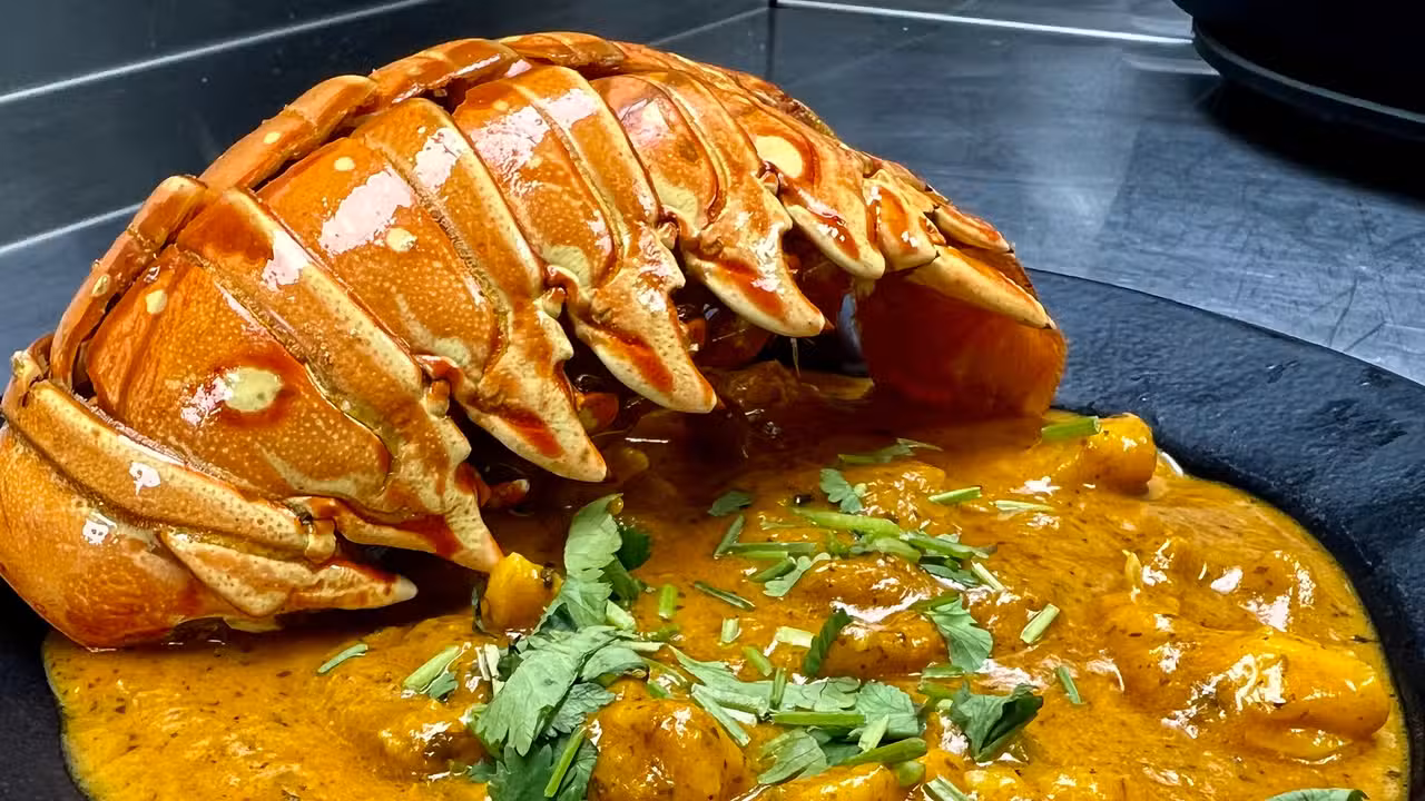 Comida - Mint Indian Cuisine & Lounge, Clarksville, MD