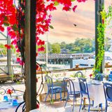 Cover image for Mediterranean Magic Greek Restaurant Bar