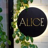 Cover image for Alice