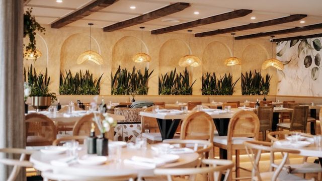 Dimi's Greek House — photo via OpenTable