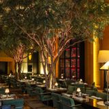 Cover image for The Garden at The Four Seasons