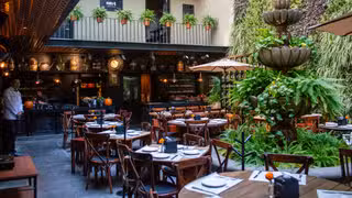 A photo of Botanero del Bosque restaurant