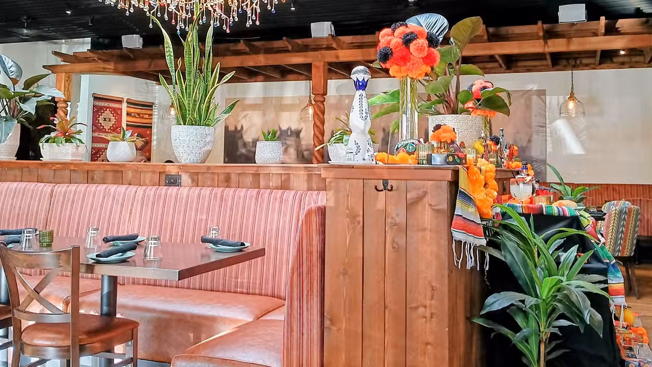 TEXANO Cocina, Dallas, TX
