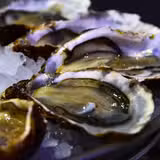 The Humble Oyster returns! photo