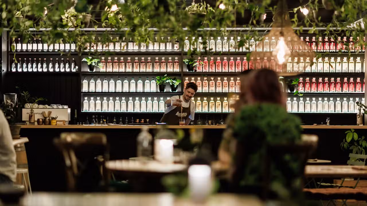 Main Shot of Bar - Nosferatu Distillery AU-QLD Bowen Hills
