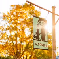 A photo of Japonica Diner restaurant