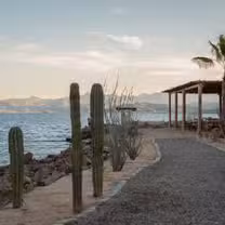 Een foto van restaurant La Bocana Beach Club