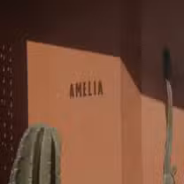 A photo of Amelia restaurant