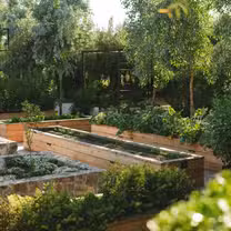 Una foto del restaurante Olivea Farm to Table