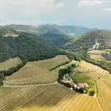 Wine Pairing Dinner 1/21 7pm photo