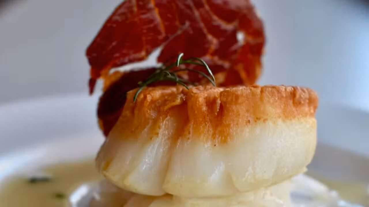 Scallop - Artisan, Elkhart, IN