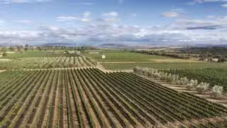 Een foto van restaurant RAIGAL en Viñedo Cuna de Tierra
