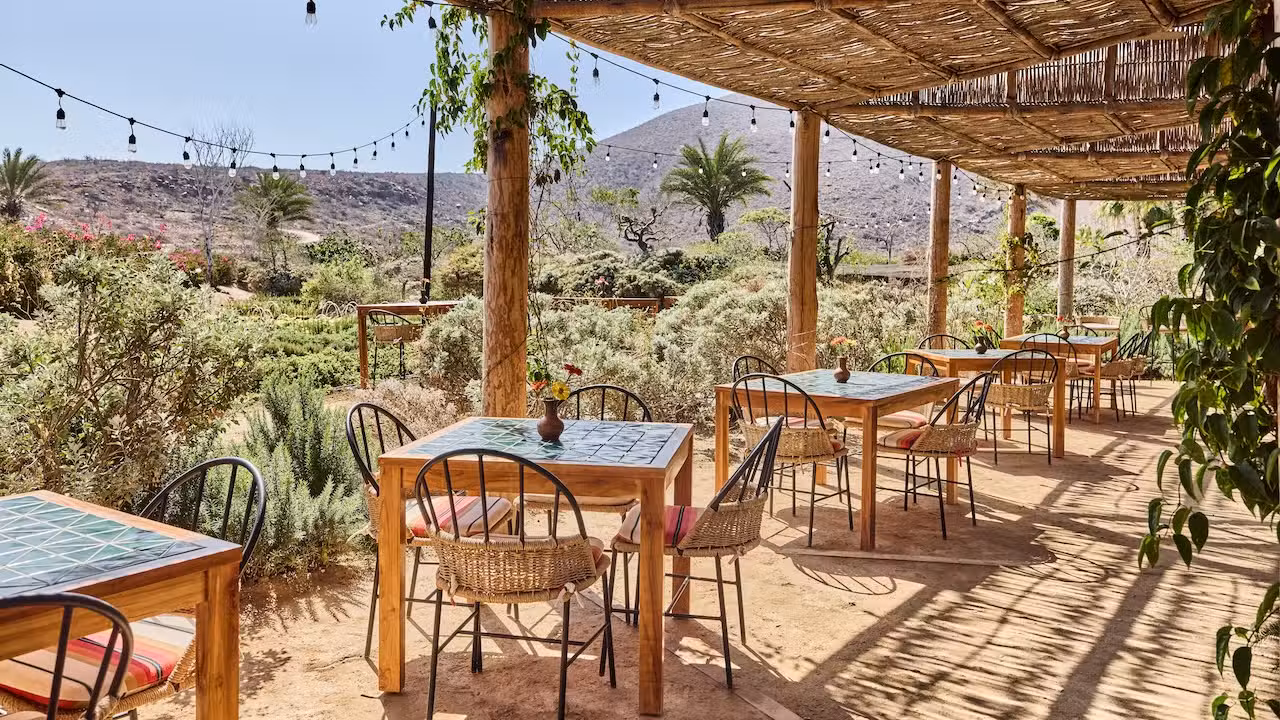 Exterior - Cosecha At Hotel San Cristóbal, Todos Santos, BCS