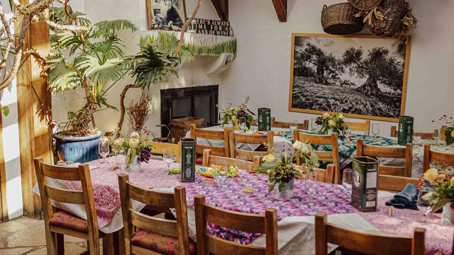 Theo's Restaurant — photo via OpenTable