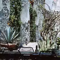 A photo of Vica restaurant restaurant