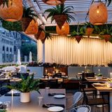 Cover image for Terrasse Belvu