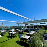 Cover image for Rooftop Gardens