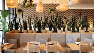 A photo of Macanda restaurant