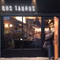 Bos Taurusの写真