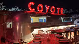 COYOTEの写真