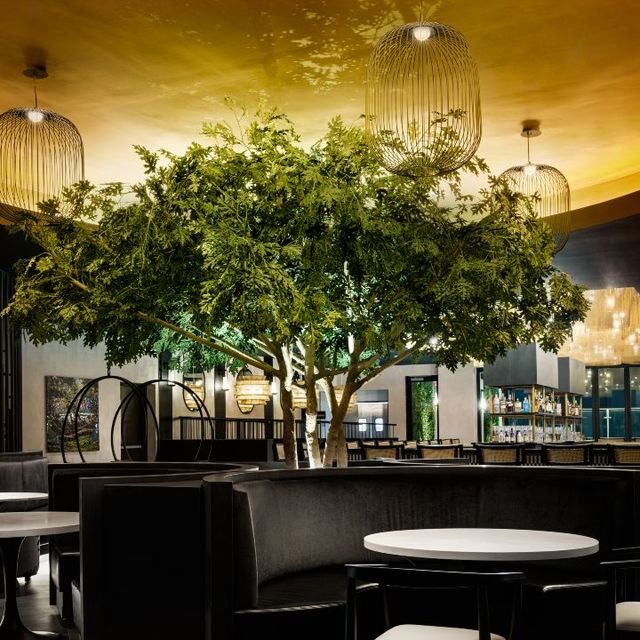 Urban Oak Raleigh - Actualizado en 2026, restaurante de Tapas en ...