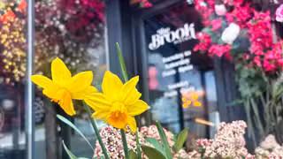 A photo of The Brook Bistro restaurant