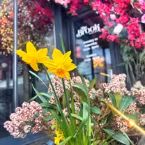 A photo of The Brook Bistro restaurant